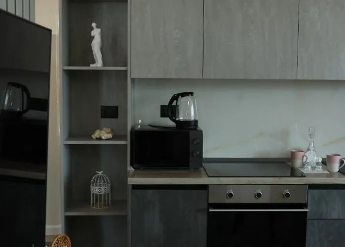 Peace And Luxury Apartment, In Center, New Bazaar1 Apartament